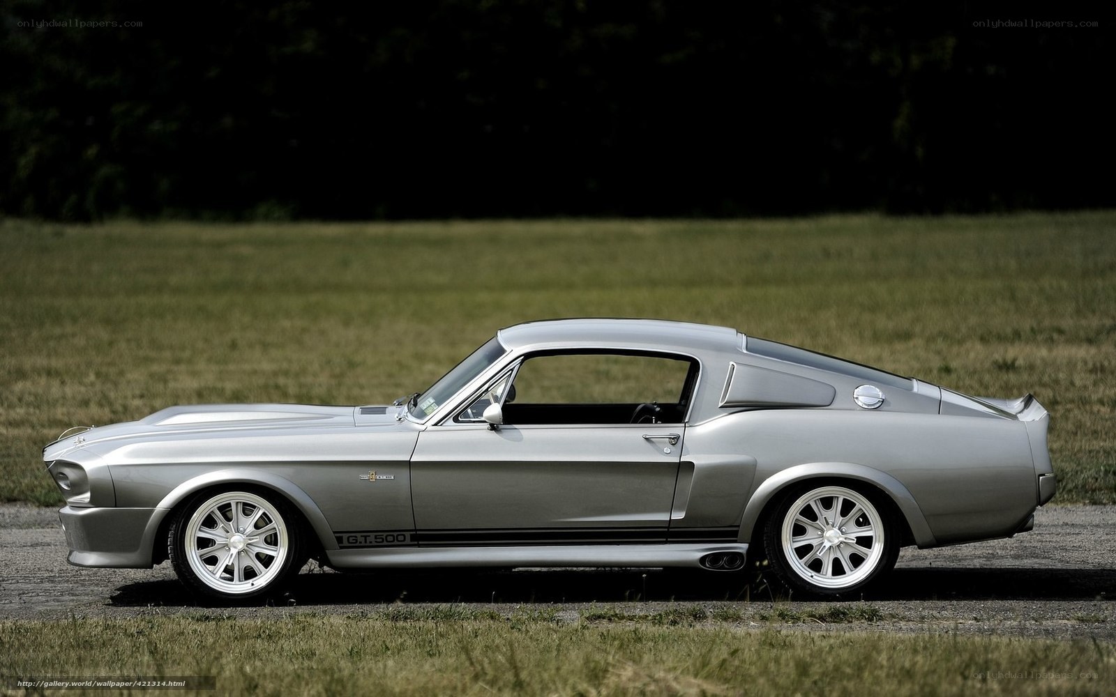 silver ford shelby gt500