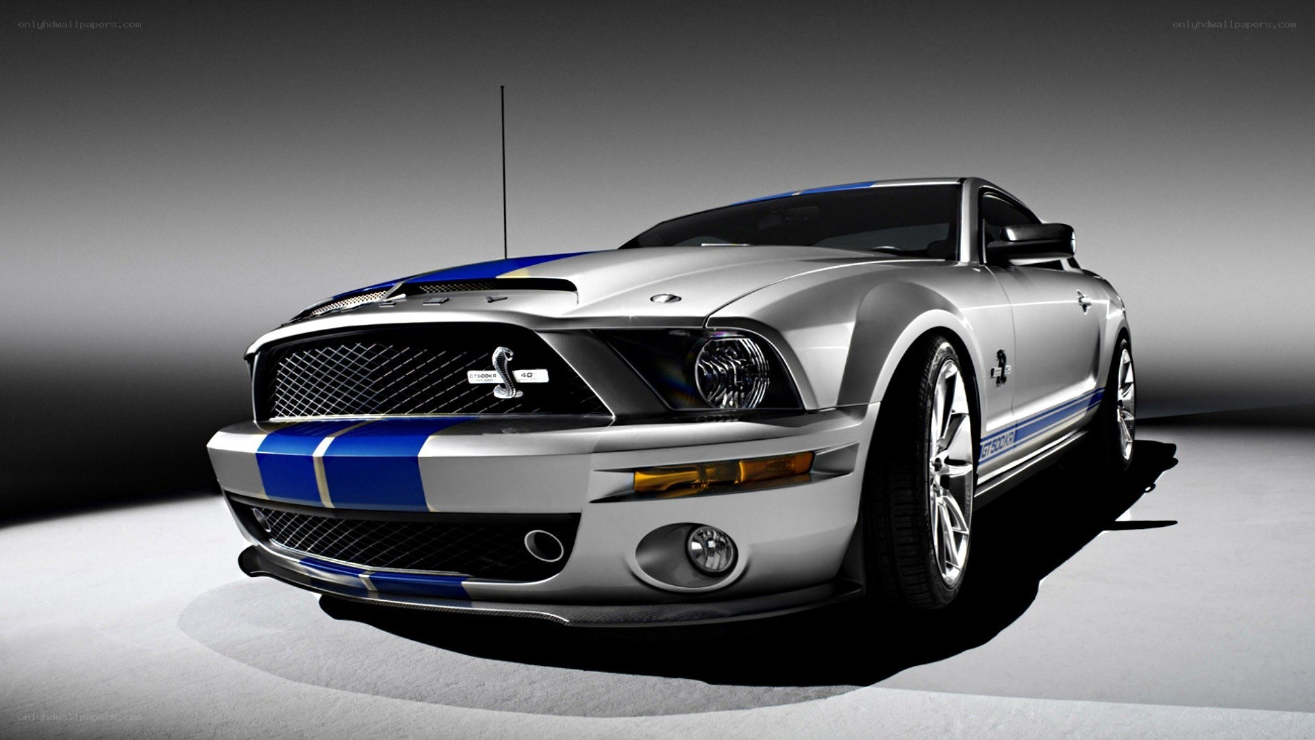 silver ford shelby mustang