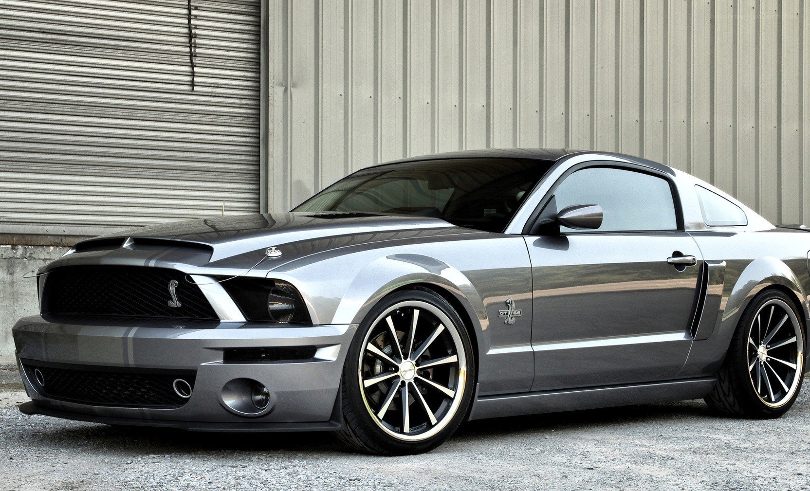 silver ford shelby mustang