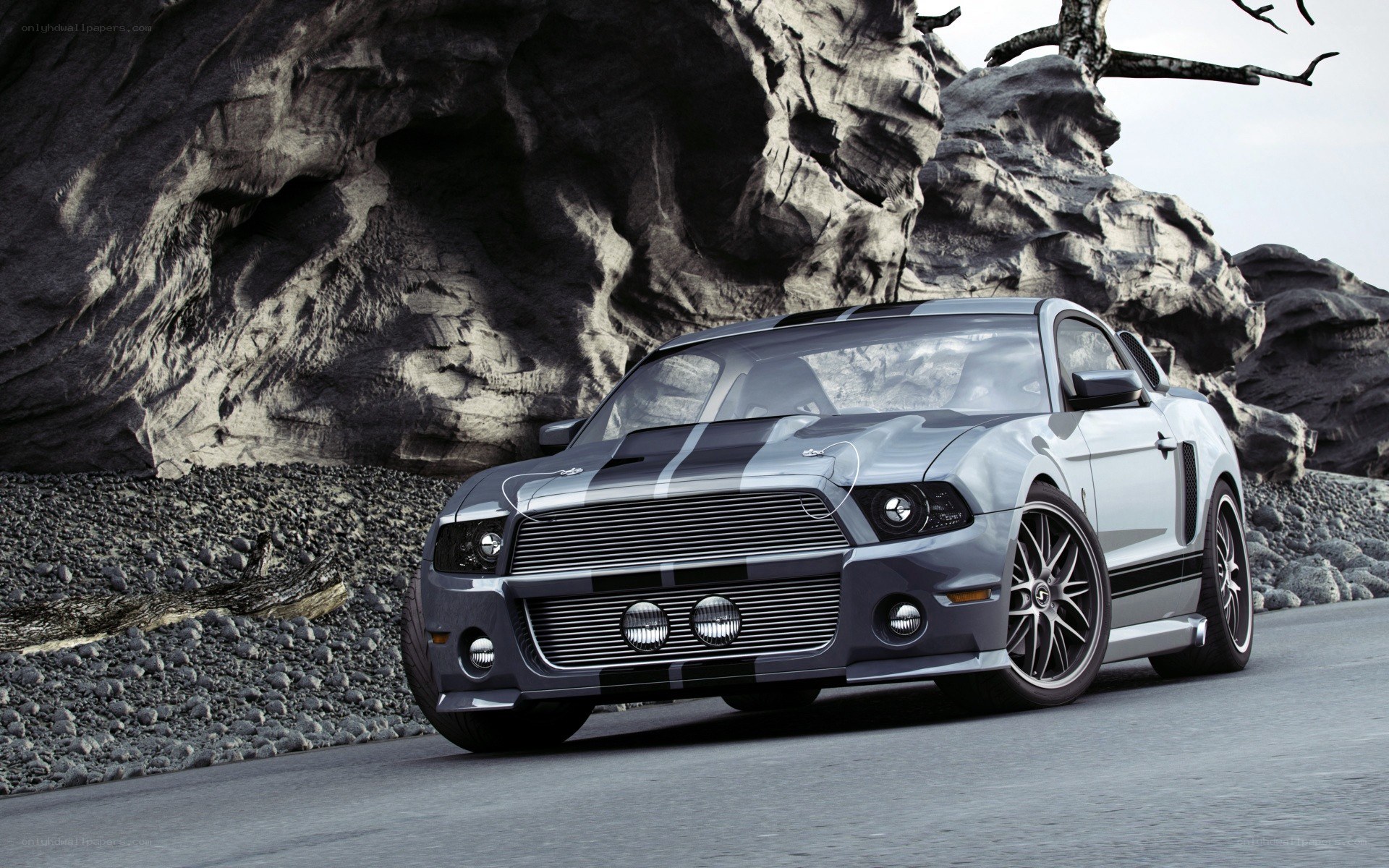 silver ford shelby mustang