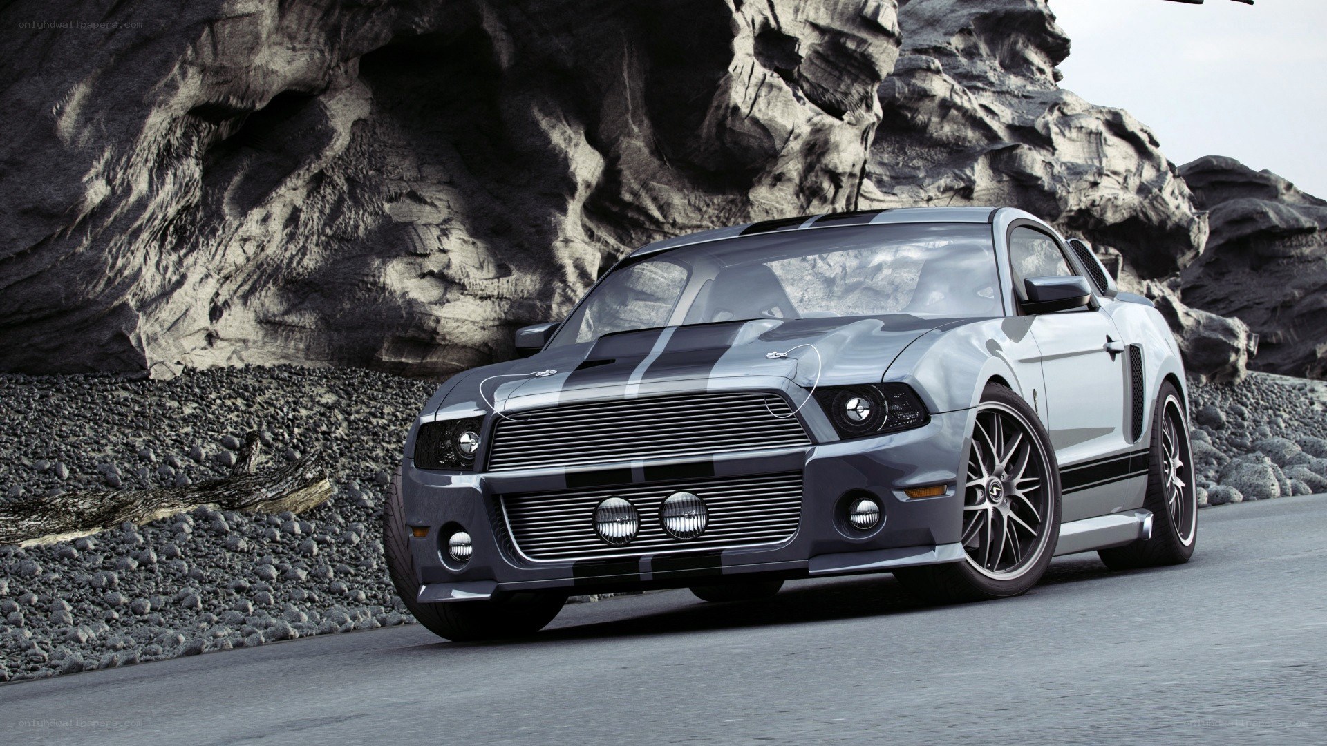 silver ford shelby mustang