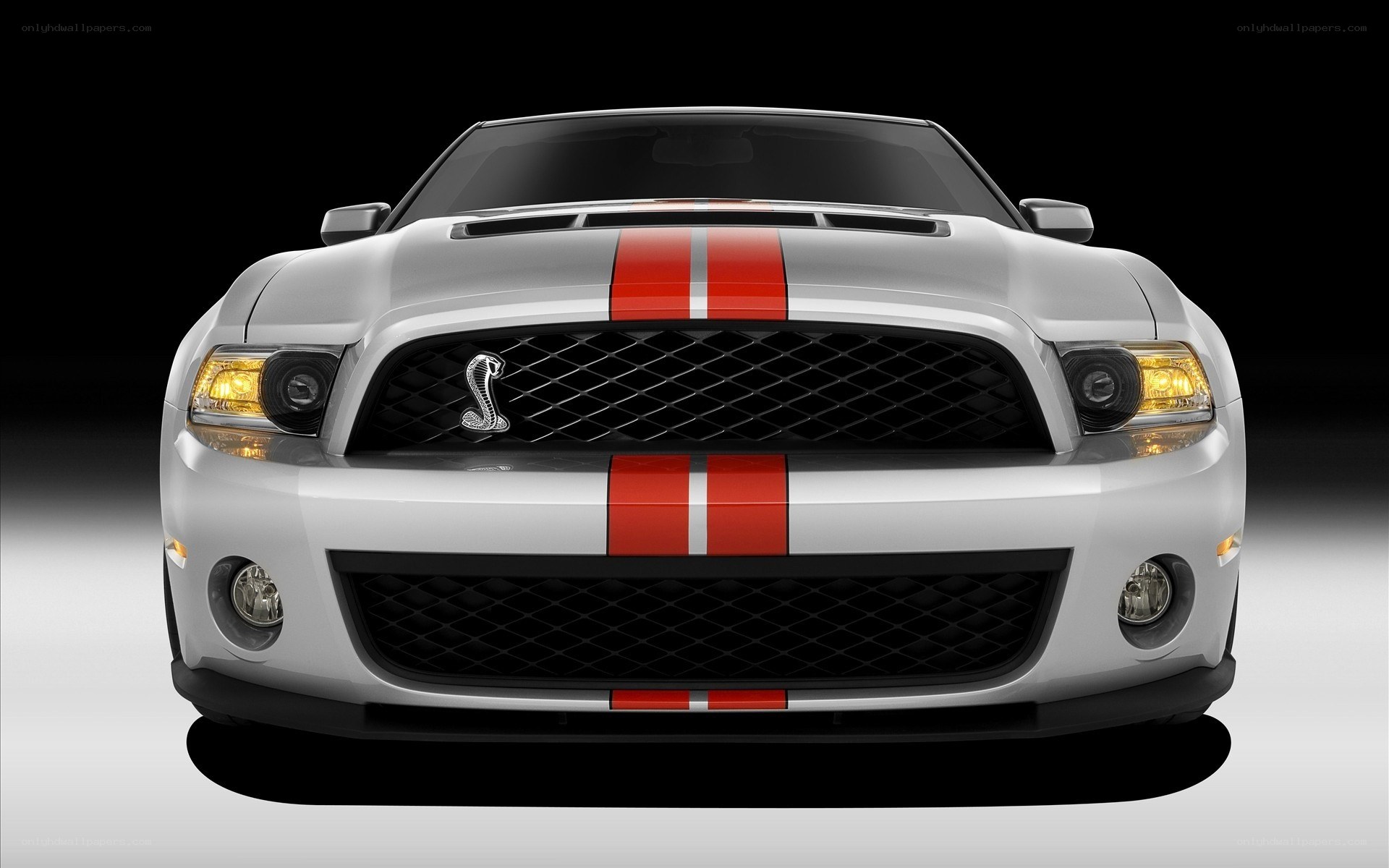Silver Ford Shelby Mustang
