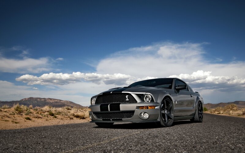Silver Ford Shelby Mustang — Gray