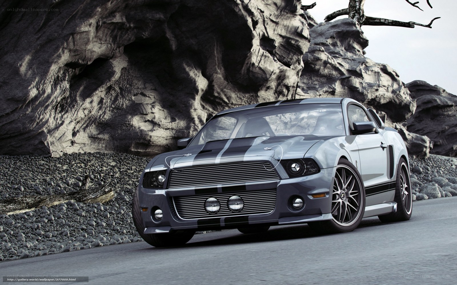 silver ford shelby mustang