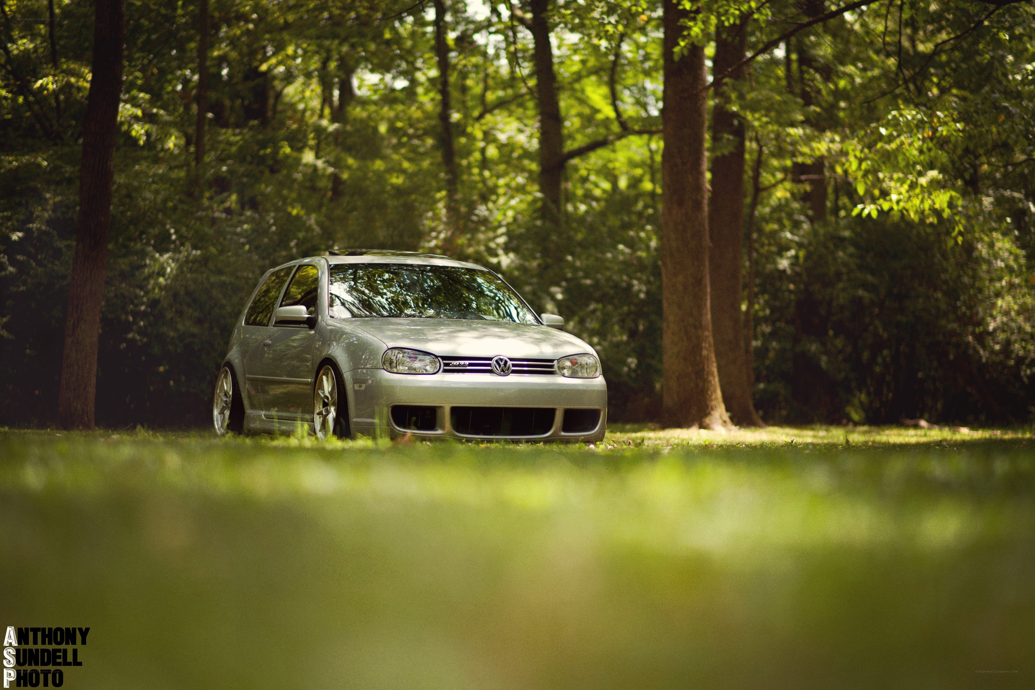 Silver Golf in a forest