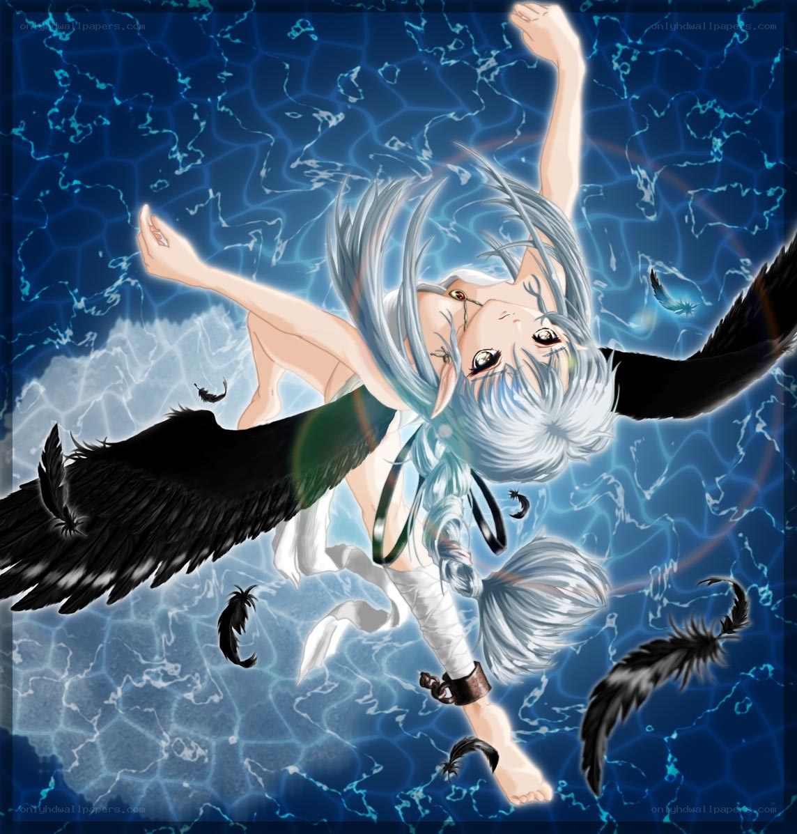 silver-haired angel with black wings