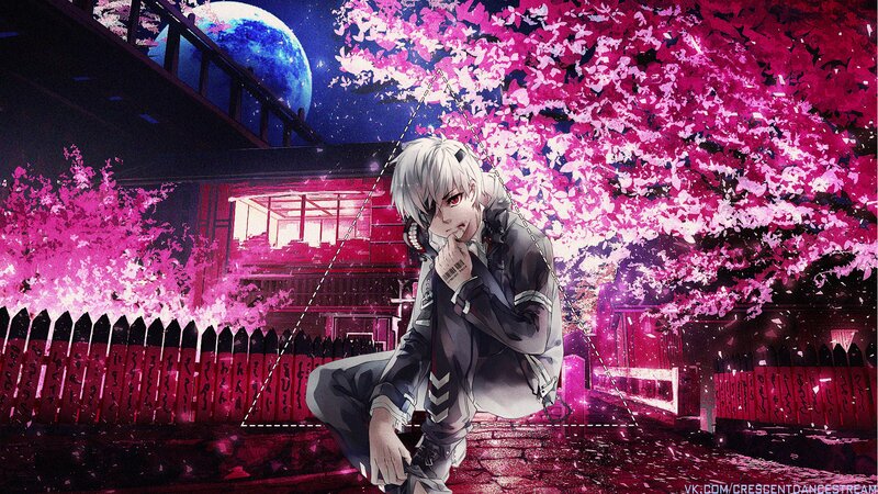 Silver-haired Anime Character — Pink
