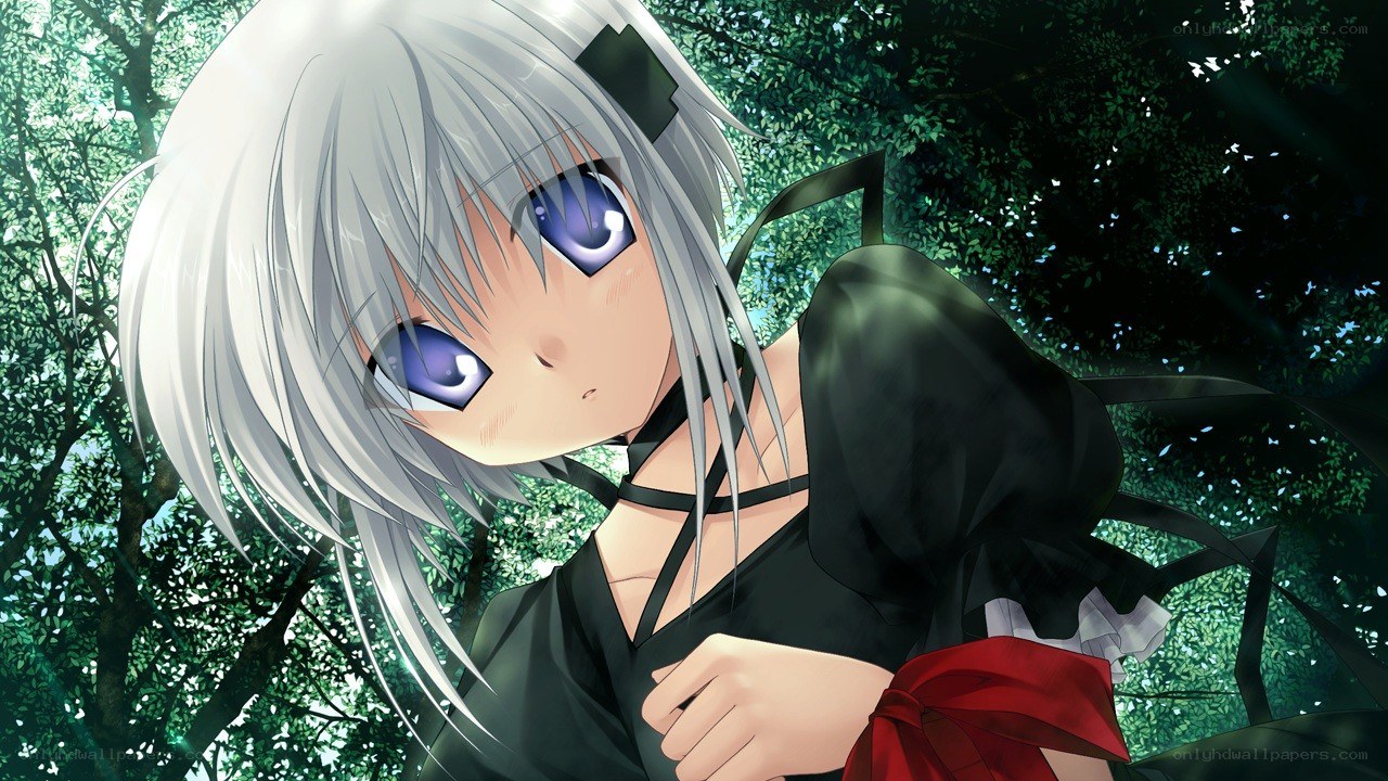 silver-haired anime girl in forest