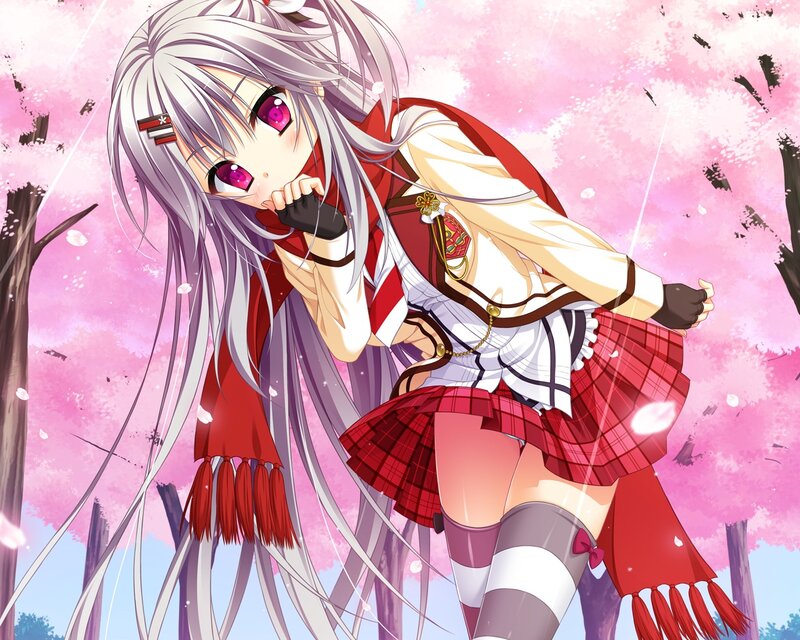 Silver-haired Anime Girl — Pink, Playful, Spring, Cherry Blossoms