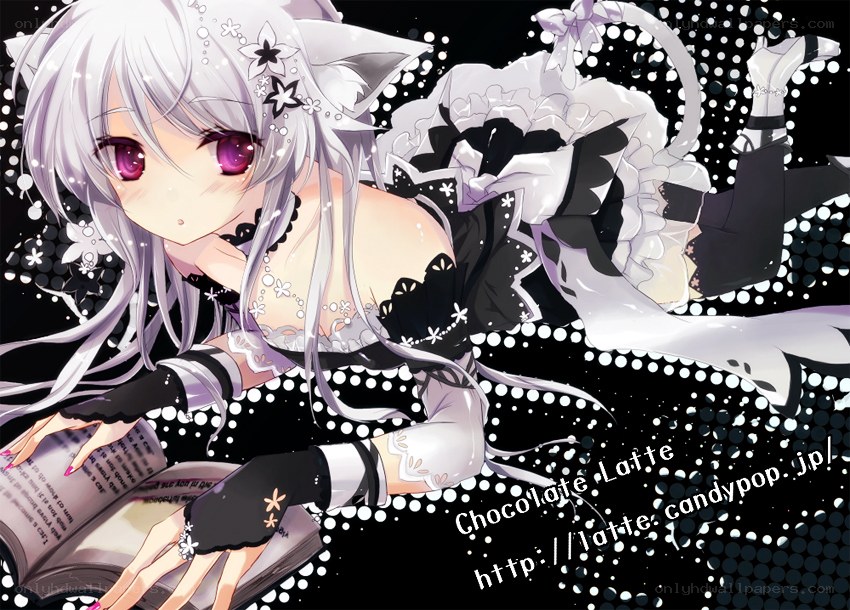 silver-haired anime girl reading
