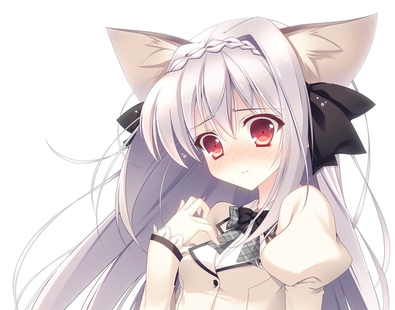 Silver-haired Anime Girl — White, Calm, Cat Ears
