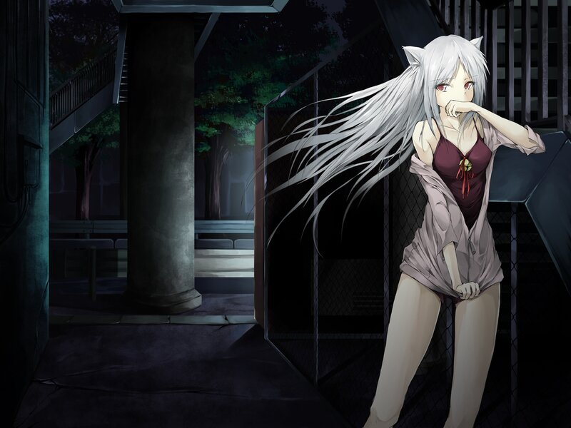 Silver-haired Anime Girl — White, Dramatic, Night, Cat Ears