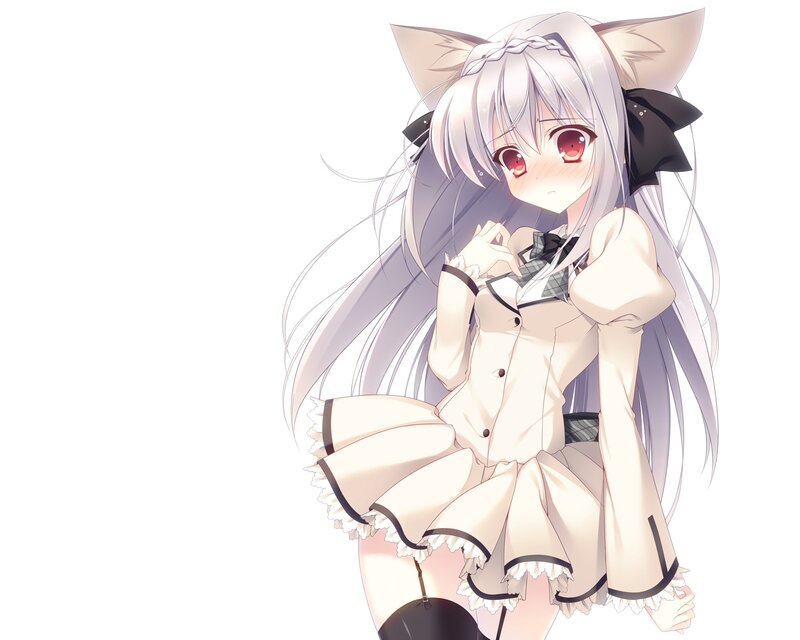Silver-haired Anime Girl — White, Innocent, Cat Ears