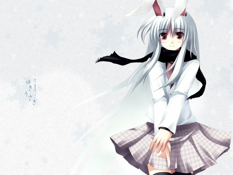 silver-haired anime girl with bunny ears