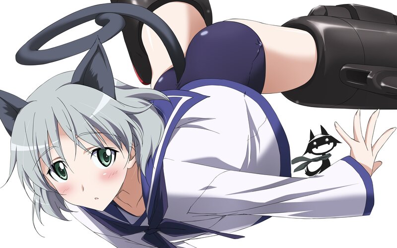 silver-haired anime girl with cat ears