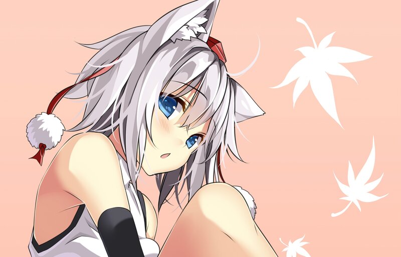 silver-haired anime girl with cat ears
