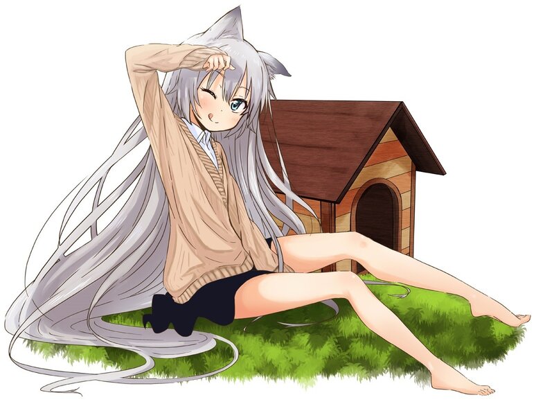 silver-haired anime girl with cat ears