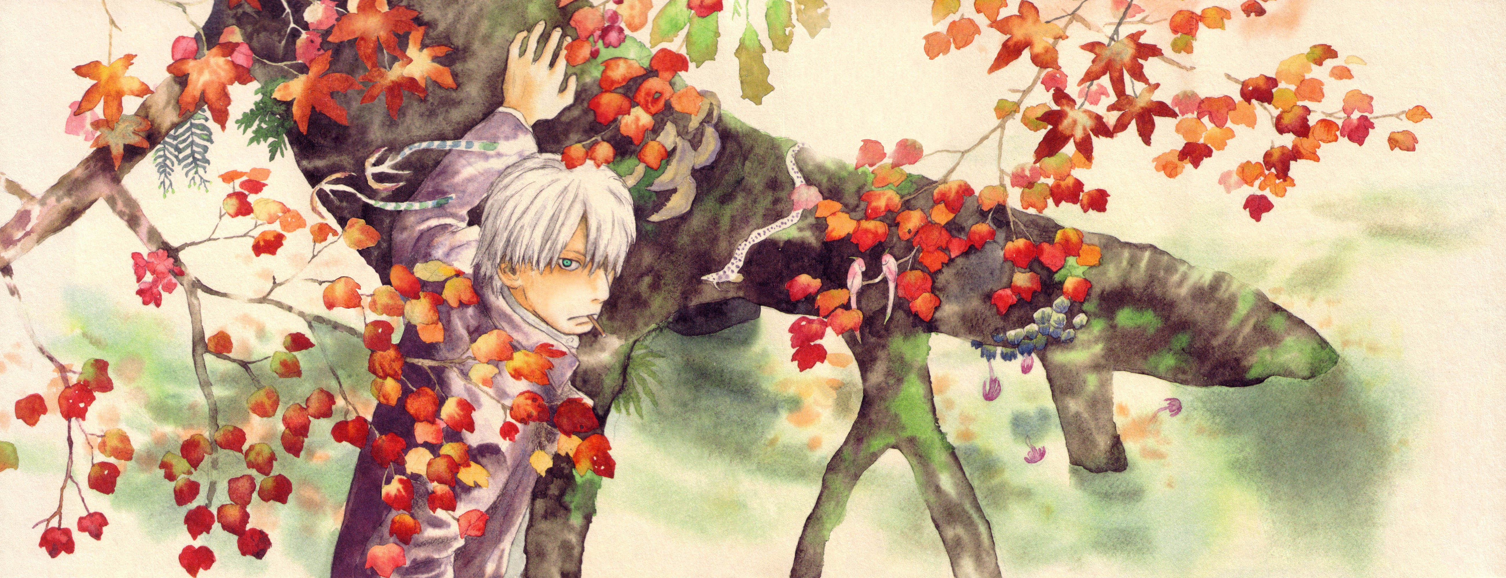 silver-haired boy under autumn tree