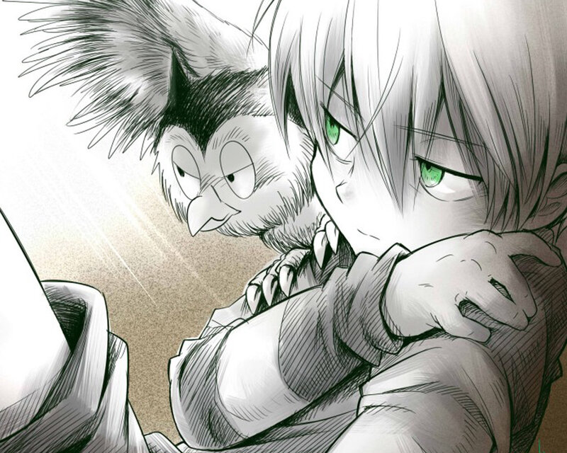 Silver-haired Boy with Owl