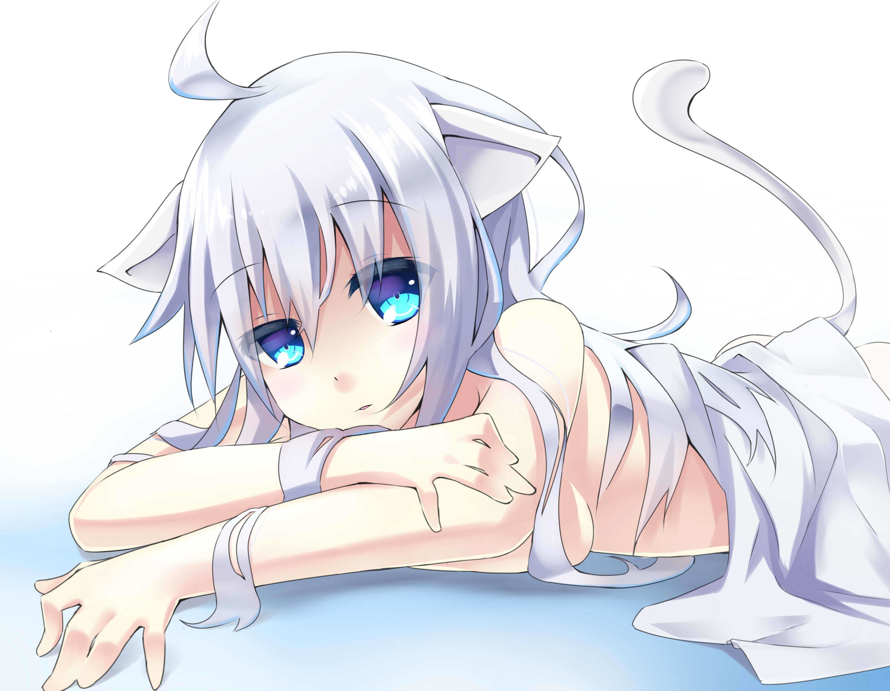 silver-haired cat girl lying down