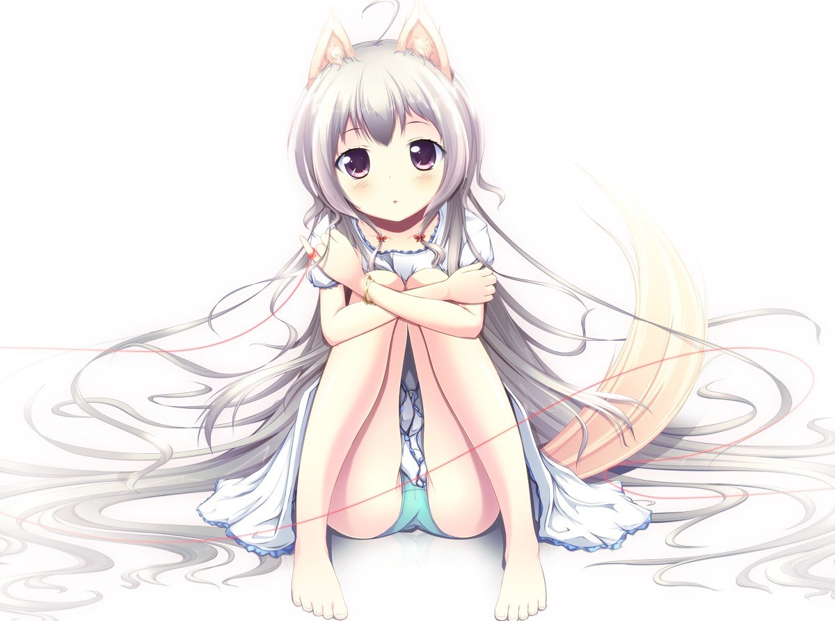 silver-haired cat girl sitting