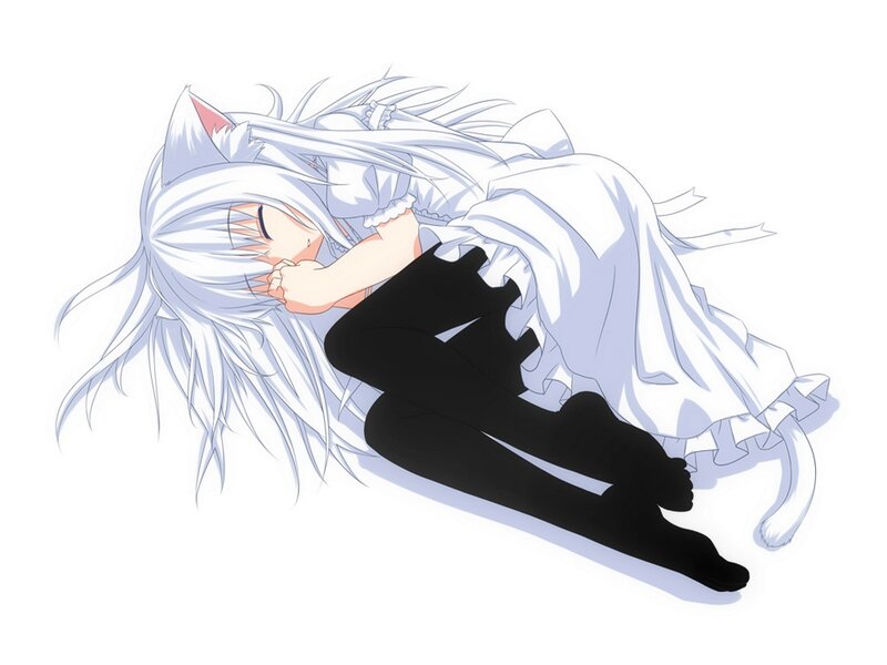Silver-haired Cat Girl — White, Peaceful