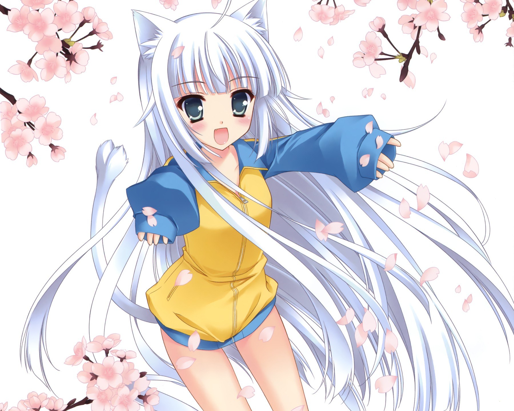 silver-haired cat girl with cherry blossoms