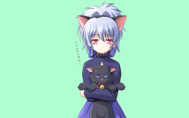 silver-haired character with cat