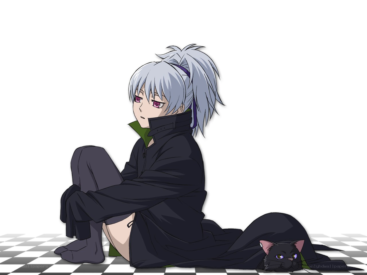 silver-haired character with cat