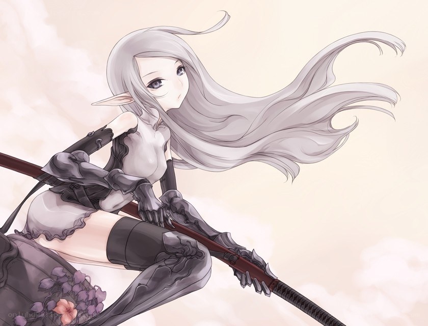 silver-haired elf warrior