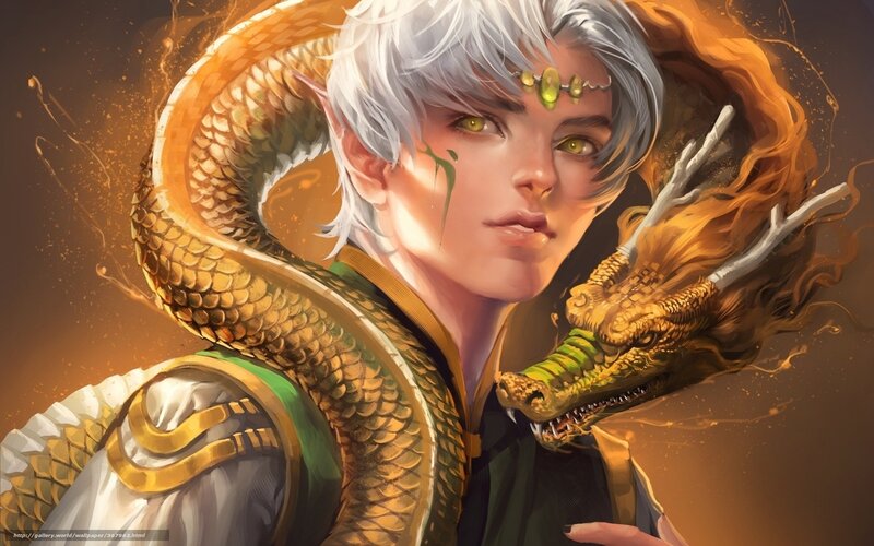 silver-haired elf with golden dragon