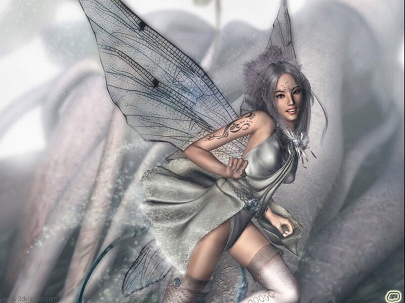 Silver-haired Fairy — Gray