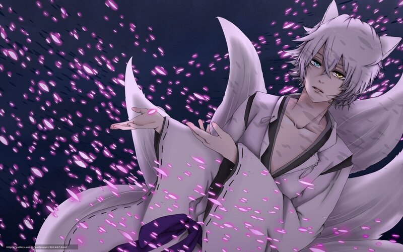 Silver-haired Fox Character
