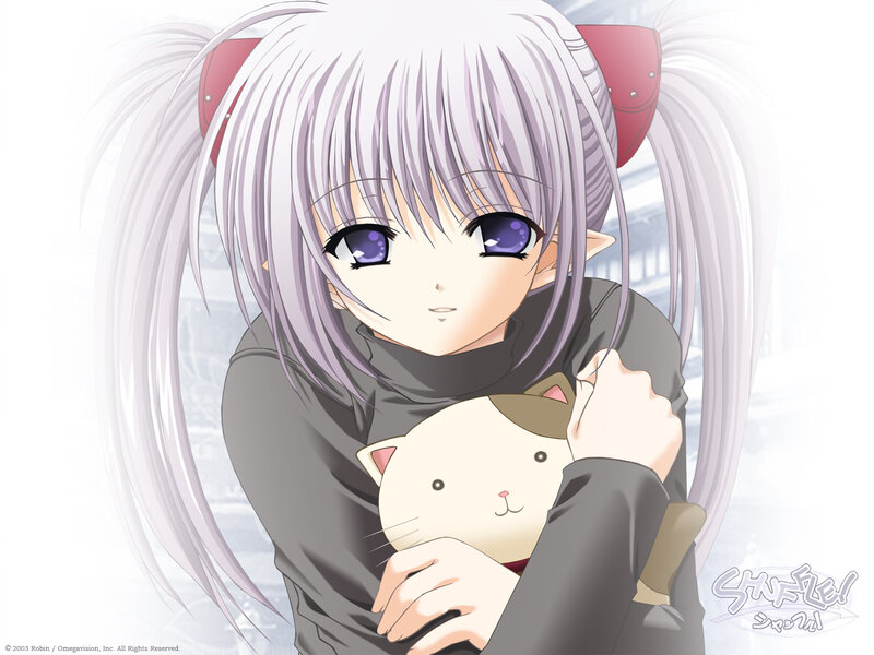 Silver-haired Girl Holding Cat — White