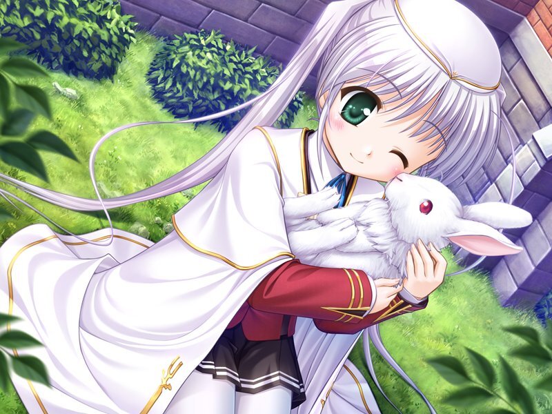 Silver-haired Girl Holding Rabbit