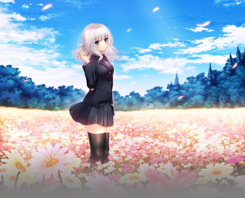 Silver-haired Girl in Field — Blue, Serene, Afternoon, Anime