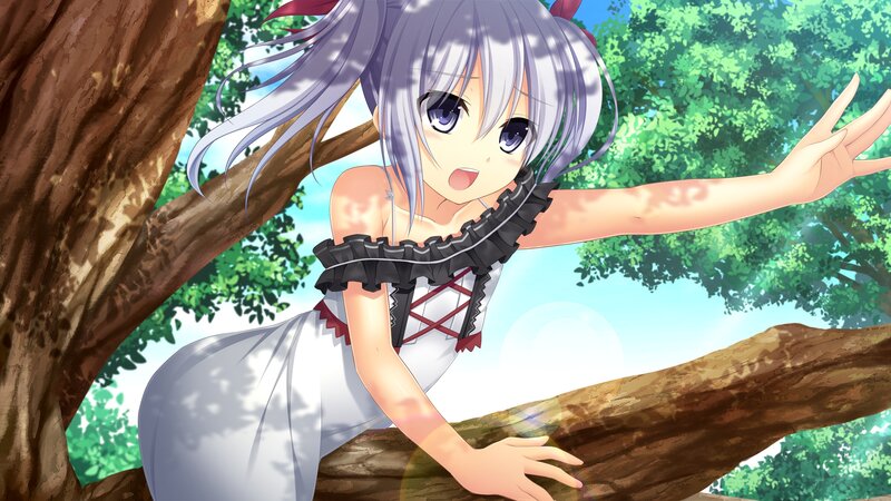 Silver-haired Girl in Tree