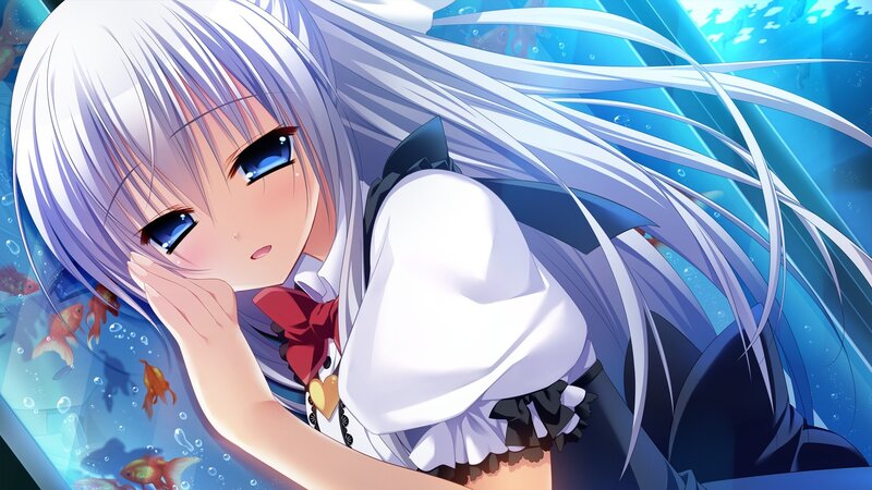Silver-haired Girl in Water — Blue, Serene, Anime, Goldfish