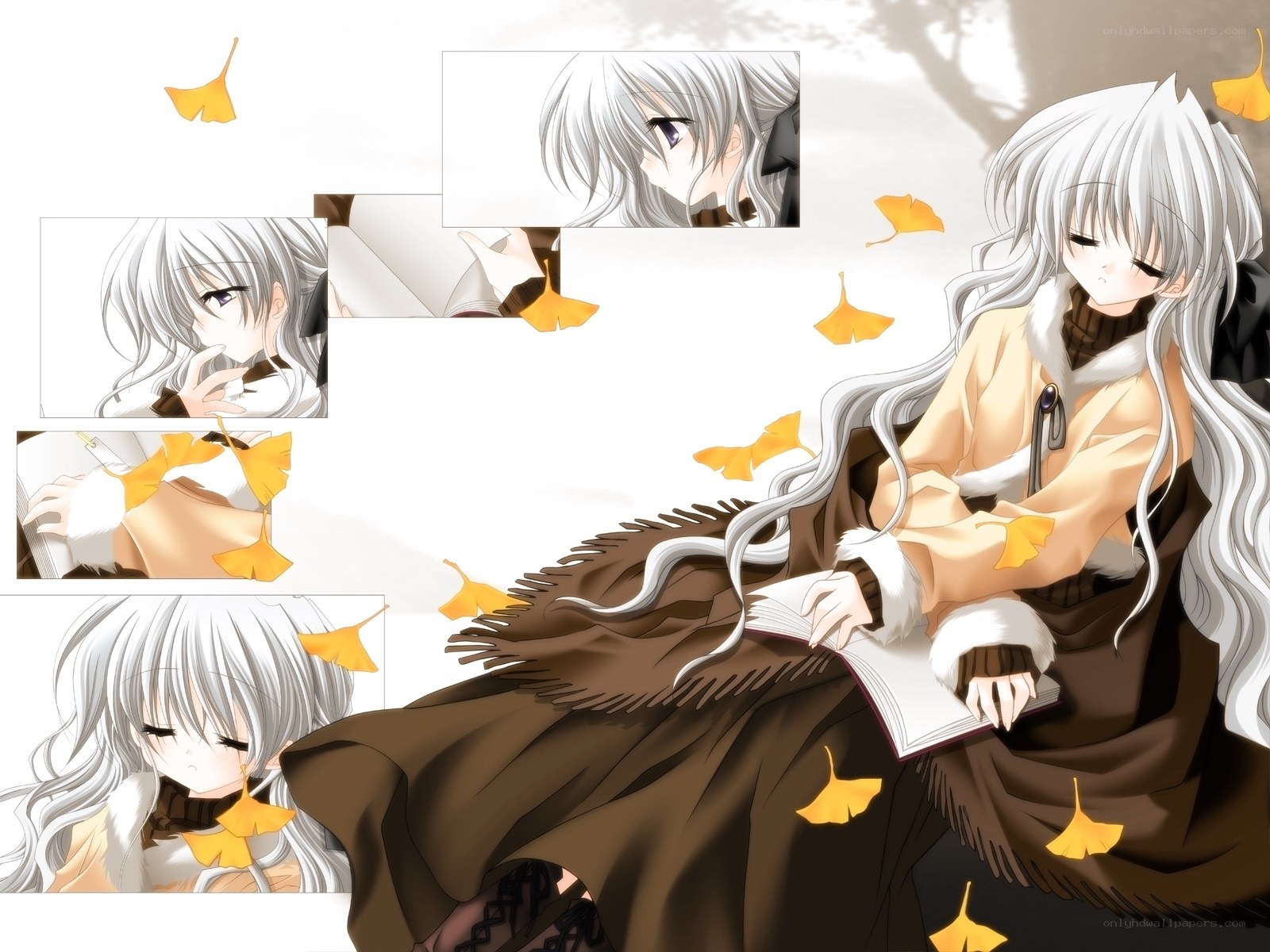 silver-haired girl reading book