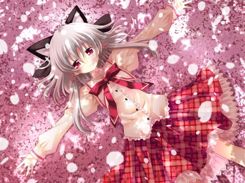 Silver-haired Girl with Cat Ears — Pink, Serene