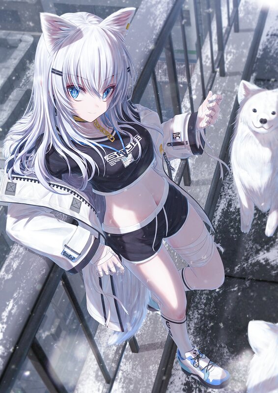 Silver-haired Girl with Cat Ears — White, Calm, Winter