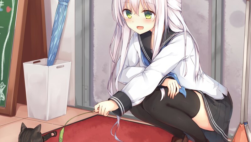Silver-haired Girl with Cat — White, Playful