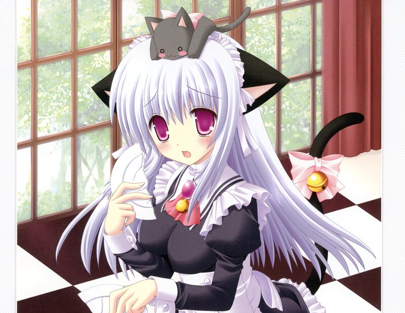 Silver-haired Girl with Cat — White