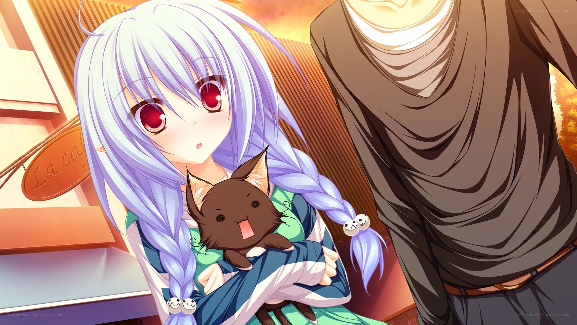 silver-haired girl with cat