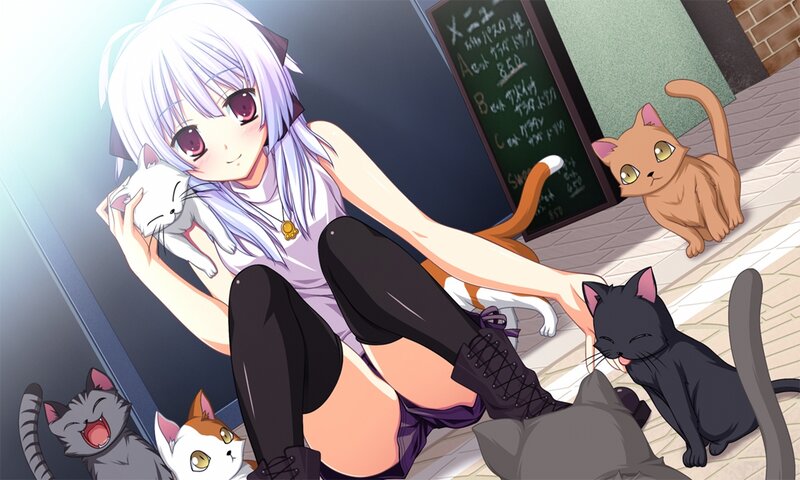 Silver-haired Girl with Cats — White