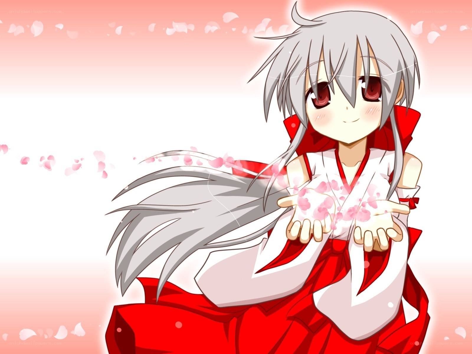 silver-haired girl with cherry blossoms