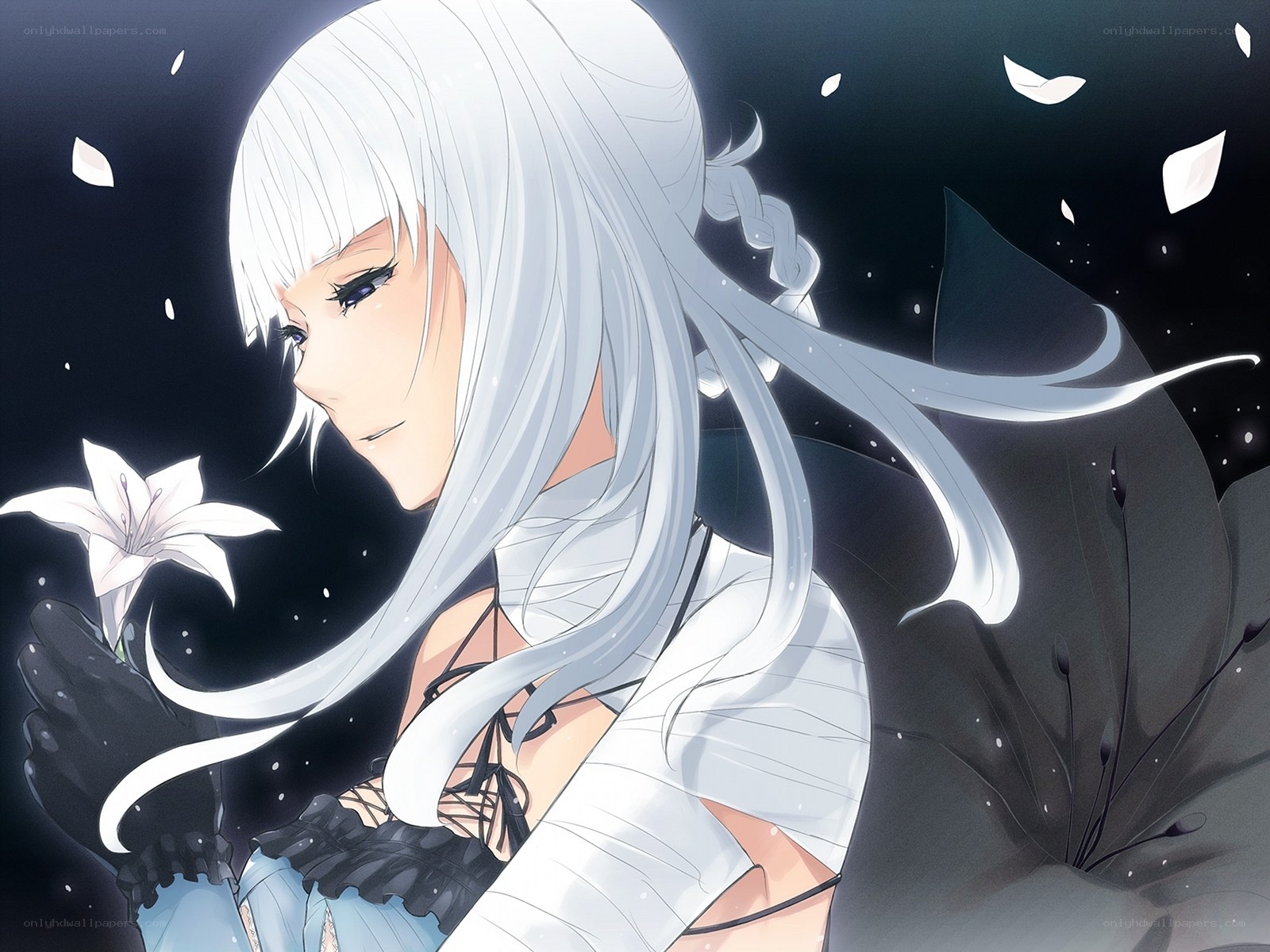 silver-haired girl with lily