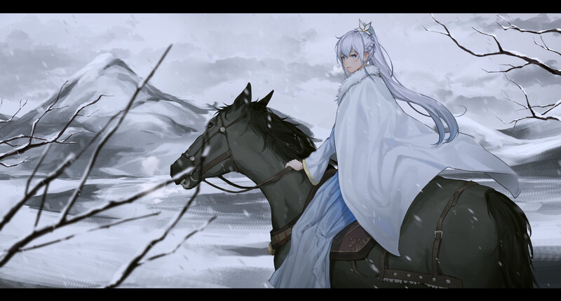 Silver-haired Rider on Horse