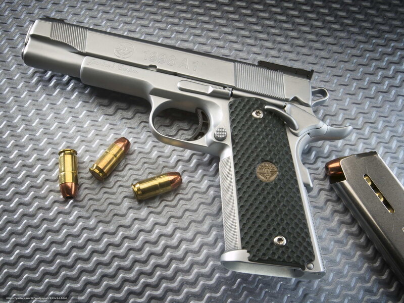 Silver Handgun with Bullets — Gray, Neutral