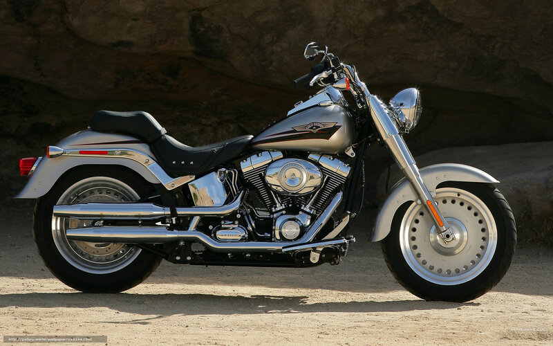 Silver Harley-Davidson motorcycle